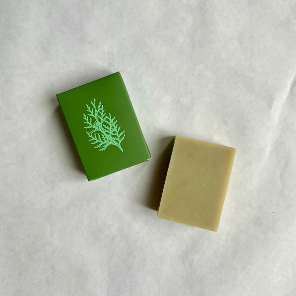 Altr Rosemary & Cedar Soap