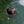 Load image into Gallery viewer, Seek & Surf Seagull Hat