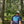 Load image into Gallery viewer, Seek &amp; Surf - Surf Safari Tee
