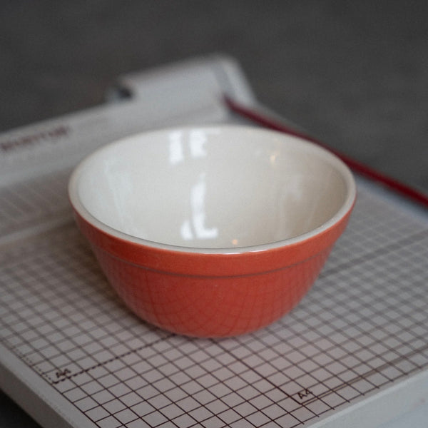 Speaking of the Weather All Purpose Bowl Red